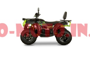 Квадроцикл Forte AFC 250 Pro